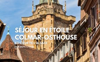Collégiale de Colmar