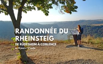 Randonneur avec sac à dos lisant panneau d'information sous arbre au point de vue pittoresque du Rheinsteig sur la vallée du Rhin.