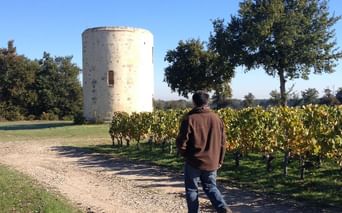 Homme marchant dans le vignoble du Médoc