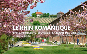 Parc avec cerisiers roses encadrant une pelouse verte avec parterres de fleurs. Des gens se promènent sous une pergola. Vignoble en pente et bâtiments derrière.