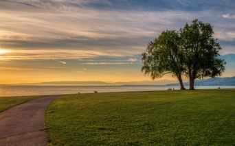 Arbon