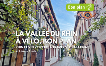 Vue de rue circuit vélo vallée du Rhin Rue pavée dans la vallée du Rhin avec maisons à colombages traditionnelles, jardinières fleuries et bannière verte 'Bon plan'.
