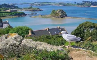bretagne-circuit-ile-brehat-c-pixabay