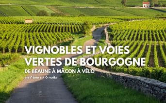 Vignoble de Pommard