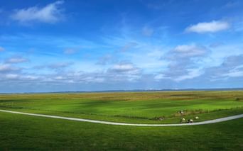 Vastes prairies et champs verts s'étendant vers l'horizon de la mer du Nord sous un ciel bleu avec des nuages blancs. Une route courbe traverse le paysage.