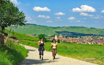 Randonneuses marchant sur un sentier dans les environs d'Ammerschwihr
