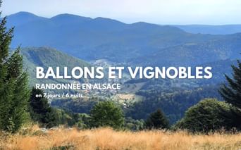 Vue sur la Vallée de Munster