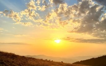 Coucher de soleil doré sur prairie de montagne dans les Hautes-Vosges avec bétail au pâturage sur la pente. Nuages dramatiques illuminent le ciel.