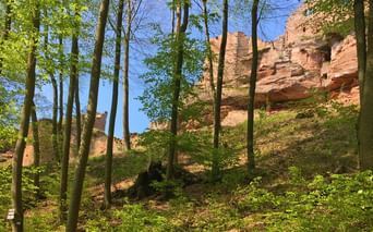 Ruine de château fort dans les Vosges du Nord