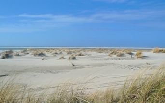 Borkum