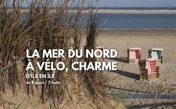 Trois chaises de plage rayées sur une plage de sable de la mer du Nord avec herbe de dune au premier plan et eau calme avec bancs de sable.