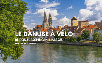 Paysage urbain historique le long du Danube avec flèches de cathédrale et tours médiévales sous ciel bleu avec nuages blancs.