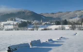 Village de Méaudre sous la neige
