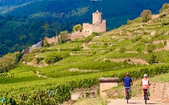 Deux cyclistes traversant des vignobles en terrasses sur la Route des Vins d'Alsace avec un château médiéval sur la colline et des montagnes boisées.