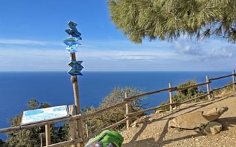 Randonner entre Castagneto et Piombino