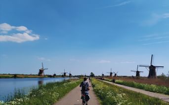 Cycliste sur chemin pavé entre canal et prairie fleurie avec rangée de moulins à vent hollandais traditionnels sous ciel bleu.
