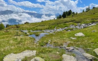Sur la Via Claudia Augusta, alpage du Haideralm