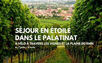 Vue sur Bad Dürkheim depuis le vignoble