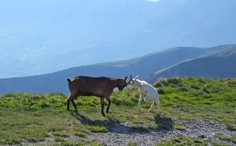 Paysage du Verdon