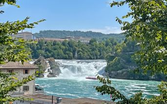 Chutes du Rhin
