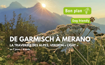 Paysage de montagne au lever du soleil avec des fleurs sauvages au premier plan. Superposition de texte montrant les détails du tour 'DE GARMISCH À MERANO'.