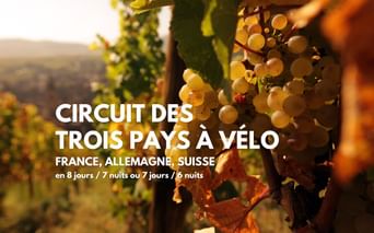 Vignoble alsacien