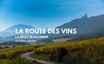 Route des Vins d'Alsace