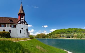 Rives du Lac de Constance