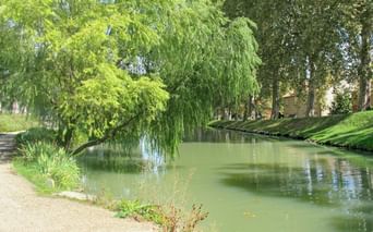 Le long du canal de la Garonne