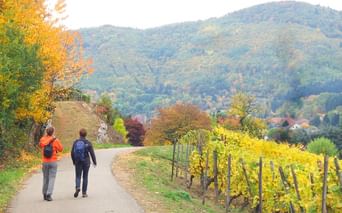 Randonneuses marchant sur un chemin au coeur du vignoble alsacien en automne