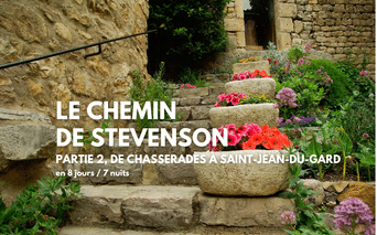 Escalier en pierre décoré de pots de fleurs colorés le long du Chemin de Stevenson en France, bordé de vieux murs en pierre.