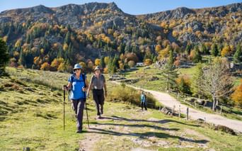 Randonneurs avec bâtons sur sentier de montagne dans les Hautes-Vosges. Sommets rocheux et forêt d'automne en arrière-plan sous ciel bleu.