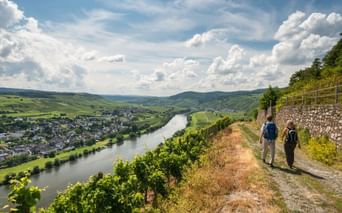 Sentier du Moselsteig