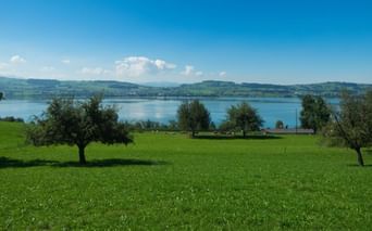 Sursee