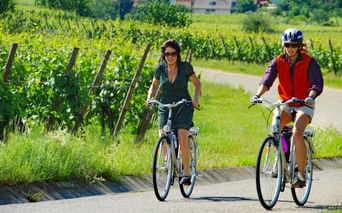 Cyclistes sur la Route des Vins d'Alsace