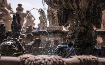 Détail d'une fontaine à Dresde
