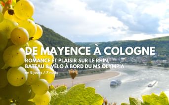 Séjour en bateau et vélo sur le Rhin romantique entre Mayence et Cologne