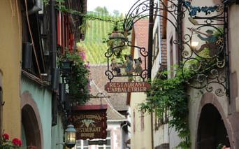 Rue étroite à Riquewihr avec maisons à colombages colorées, enseignes de restaurant en fer forgé et jardinières fleuries sur la Route des Vins d'Alsace.
