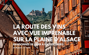 Maisons à colombages traditionnelles aux façades colorées bordent une rue pavée en Alsace, avec un château médiéval visible sur une colline.