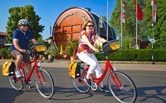 A vélo dans le Palatinat