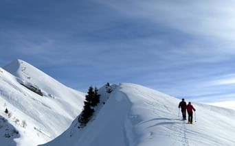 Massif des Bauges en hiver