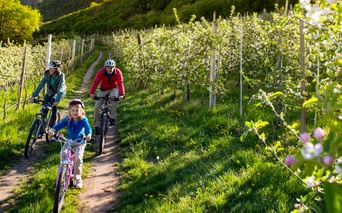 Le Sud Tyrol en vélo et en famille