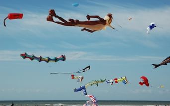 Plusieurs cerfs-volants décoratifs volant au-dessus d'une plage, dont un grand pélican, une chenille et d'autres motifs colorés.