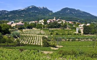 mont-ventoux-Vacqueyraene-village-vaucluse-cote-du-rohne-provence
