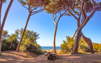 Plage à Baratti