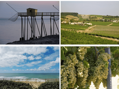 paysages de la flow à vélo de La Rochelle à Cognac