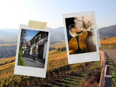 Montage photo montrant une cyclotouriste pédant dans les rues d'un village alsacien, un verre de vin blanc d'Alsace sur fond de vignoble