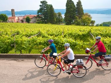 Trois Cyclotouristes en route dans le Piémont près de Viverone