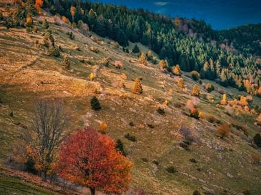 photo-alsace-vosges