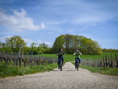 A vélo en Alsace avec Espace Randonnée